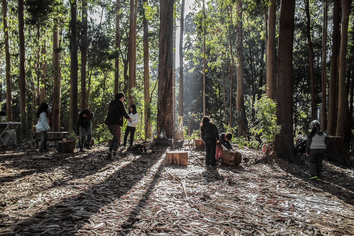 kawansh bosque escuela