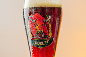 Cervecería Toropaire: la joya que se quedó en Ñuble