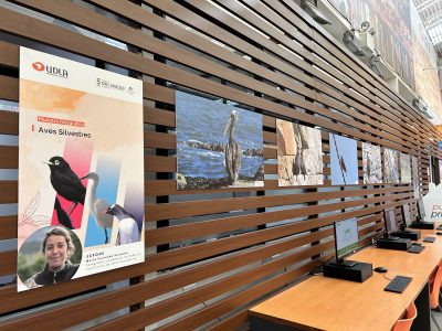 UDLA celebra Día Nacional del Medio Ambiente con exposición de aves silvestres