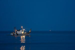 Seremi de Economía abre fondos concursables para productividad y comercio de pesca artesanal